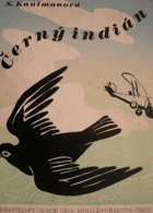 Černý indián - příběhy ze života ptačího hrdiny