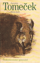 Hora hoří - balada o Křížovém králi