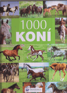1000 koní