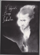 V labyrintu Bruna Schulze - výstava pod záštitou Jerzyho Ficowského. Katalog výstavy