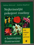 Nejkrásnější pokojové rostliny