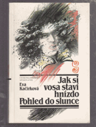 Jak si vosa staví hnízdo - Pohled do slunce