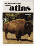 Kapesní atlas savců