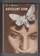 Kouzelný dům - román