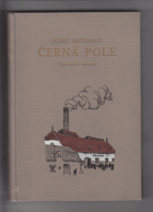 Černá pole - brněnské obrazy