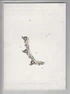 KOLÁŽE Katalog výstavy Náchod 30.6.-30.8.1995 ... et al