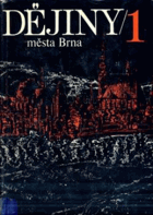 Dějiny města Brna I