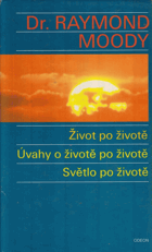 Život po životě - Úvahy o životě po životě - Světlo po životě