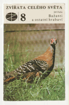Zvířata celého světa Bažanti a ostatní hrabaví ORNITOLOGIE