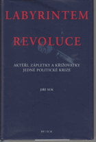 Labyrintem revoluce - aktéři, zápletky a křižovatky jedné politické krize