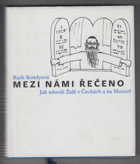 Mezi námi řečeno - jak mluvili Židé v Čechách a na Moravě JIDIŠ