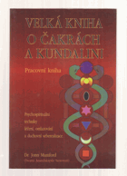 Velká kniha o čakrách a kundalini - transcendentální jóga pro dosažení vyššího života - ...