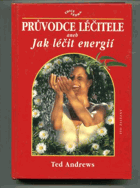 Průvodce léčitele aneb Jak léčit energií