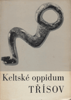 TŘÍSOV - keltské oppidum