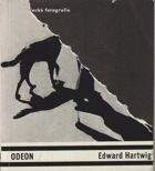 Edward Hartwig