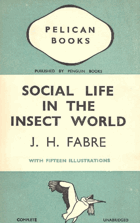 Social life in the insect world