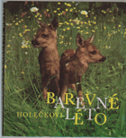 Barevné léto