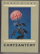 Chryzantémy