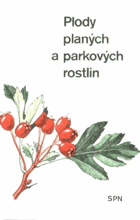 Plody planých a parkových rostlin - kapesní atlas