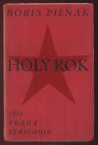 Holý rok - román