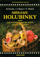 Sbíráme holubinky Houby Mykologie Aneb, Jak nasbírat houby, když nerostou hřiby