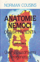 Anatomie nemoci očima pacienta Úvahy o uzdravení a regeneraci