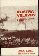 Kostra velryby v Národním muzeu v Praze a krátký pohled do světa kytovců