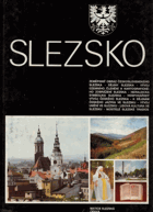 Slezsko - zeměpisný obraz československého Slezska