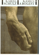 Kámen a bolest - román o Michelangelovi Buonarroti. Michelangelo Buonarroti