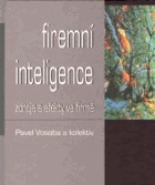 Firemní inteligence - zdroje a efekty ve firmě