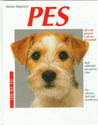 Pes - jak o něj pečovat a jak mu porozumět - rady odborníků pro správný chov