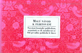 Malý návod k flirtování Navázat kontakt pohledem, seznámit se & zamilovat se
