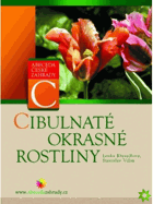 Cibulnaté okrasné rostliny