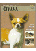 Čivava