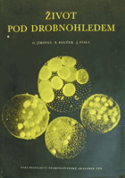Život pod drobnohledem BEZ OBÁLKY!