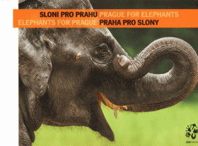 Sloni pro Prahu - Prague for elephants, elephanths for Prague
