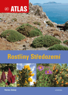 Rostliny Středozemí