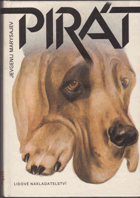 Pirát