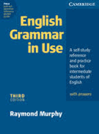 English grammar in use - a self-study reference and practice book for intermediate students of ...