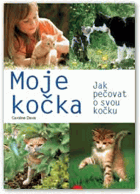 Moje kočka Jak pečovat o svou kočku