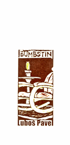 Dumbstin