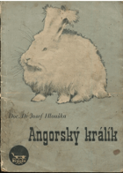 Angorský králík Angorák