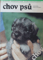 Chov psů