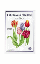 Cibulové a hlíznaté rostliny