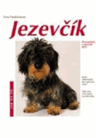 Jezevčík - jak o něj správně pečovat a jak mu rozumět - rady odborníka ke správnému chovu