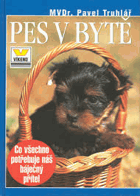 Pes v bytě - co všechno potřebuje náš báječný přítel