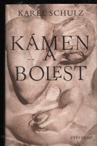 Kámen a bolest - román o Michelangelovi Buonarroti. Michelangelo Buonarroti