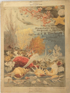 Grosser illustrierter Catalog über Muscheln, Corallen, Gorgonien und Seethiere OCEÁNOGRAFIE ...