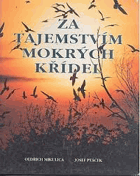 Za tajemstvím mokrých křídel