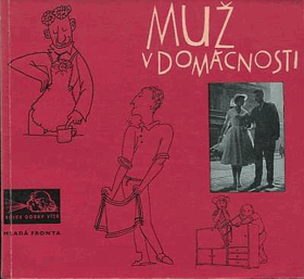 Muž v domácnosti